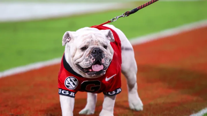 Georgia Bulldogs announce 2025 football signees
